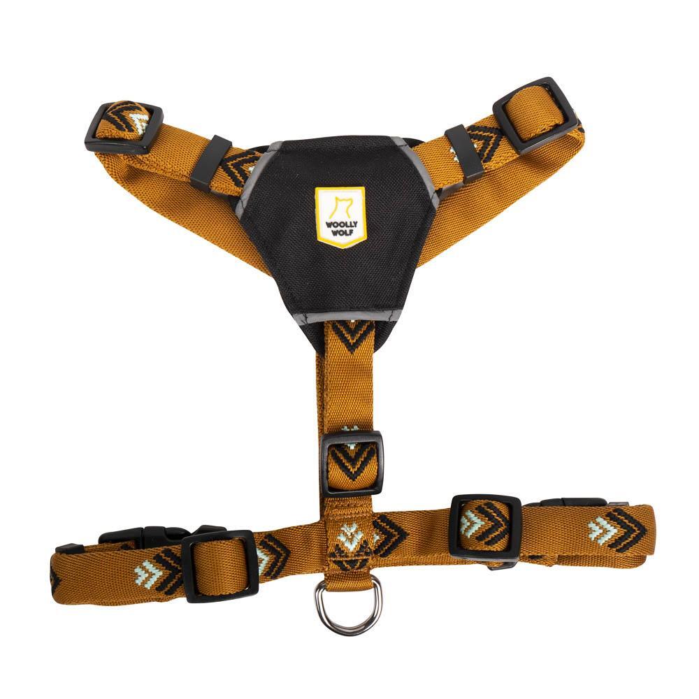 Wild Amber set - Oprsnica i povodac