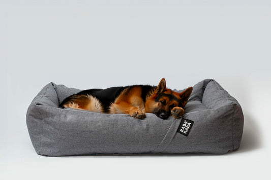 XXL-Hundebetten: Warum Unser XL-Bett für Große Hunderassen Ideal Ist 🐾