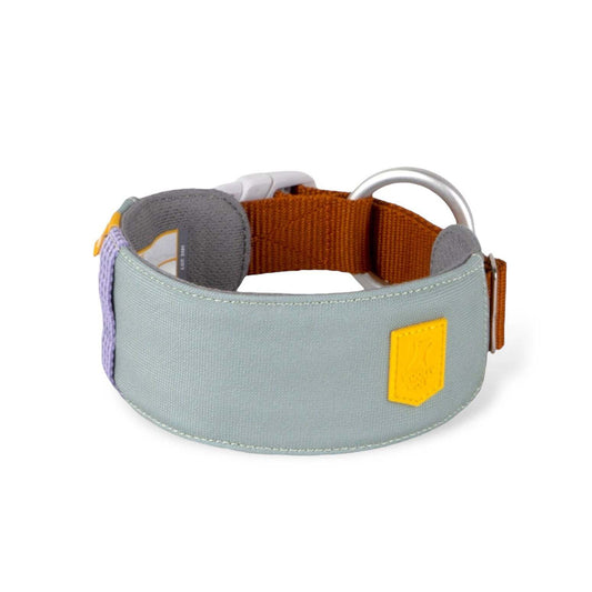 Wolly Wolf Alpha 360 Collar - Glacier Green