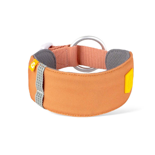 Wolly Wolf Alpha 360 Collar - Golden Hour