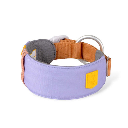 Wolly Wolf Alpha 360 Collar - Lavender