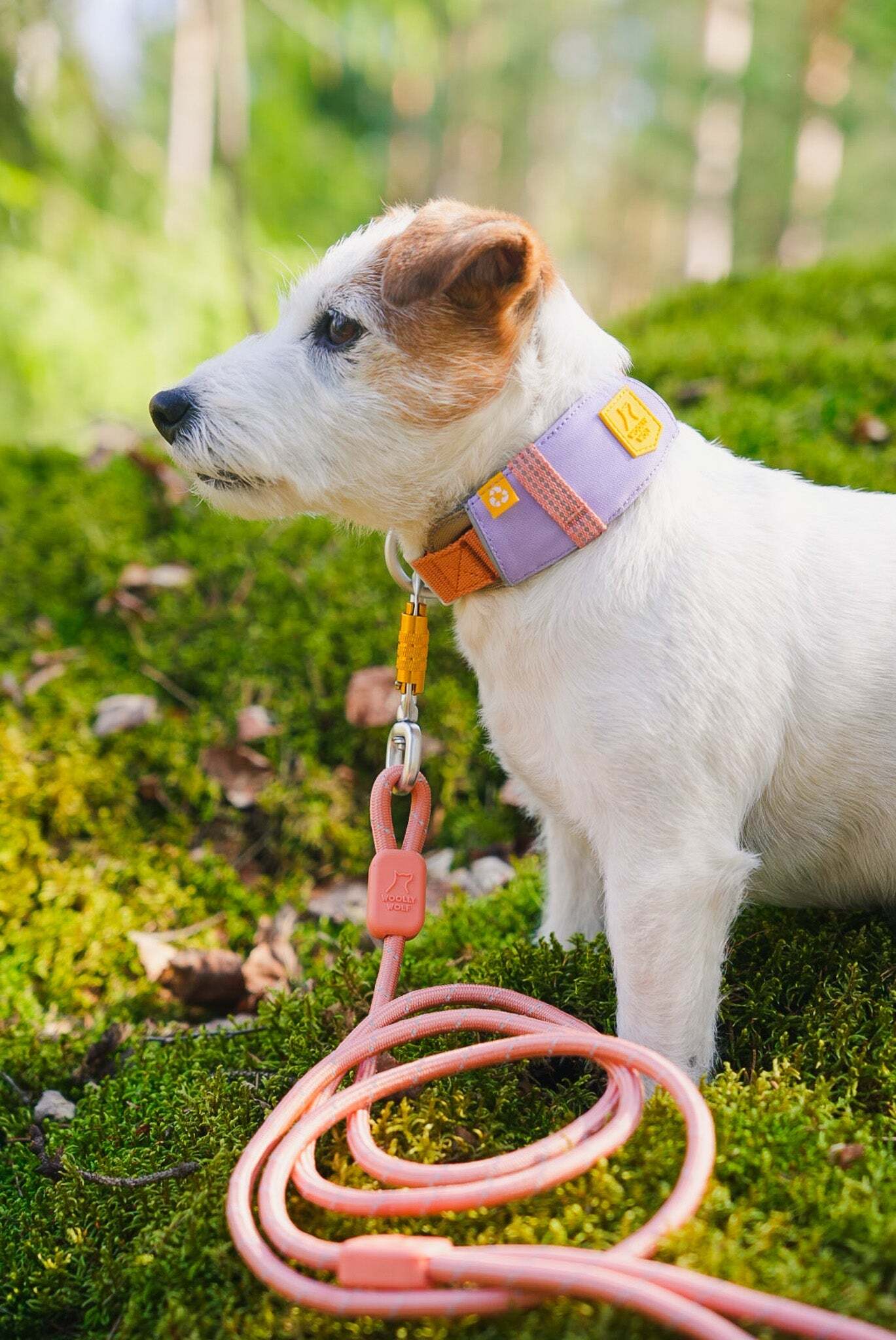 Wolly Wolf Alpha 360 Collar - Lavender