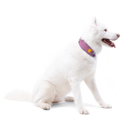 Wolly Wolf Alpha 360 Collar - Mauve Mix