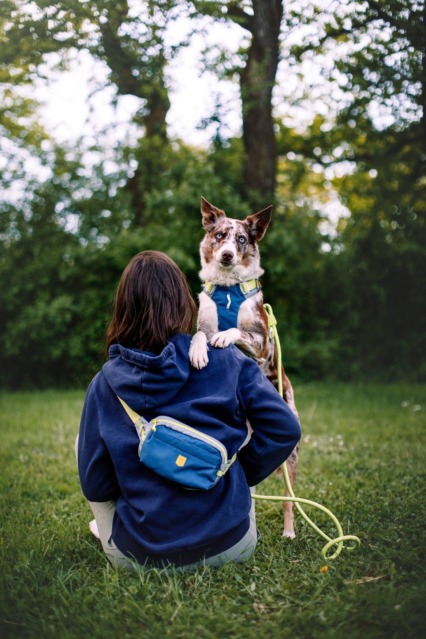 Woolly Wolf Alpha 360 Harness - Deep Teal