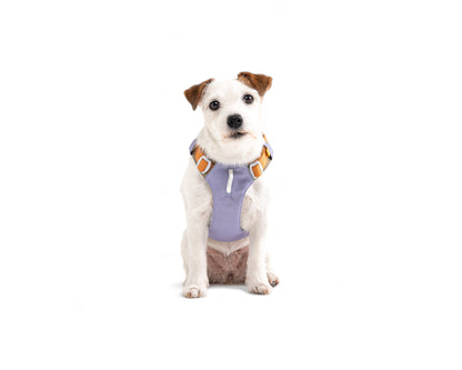 Woolly Wolf Alpha 360 Harness - Lavender