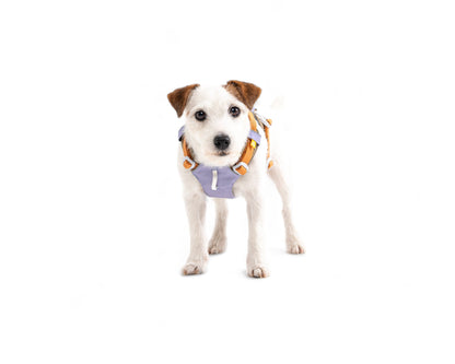 Woolly Wolf Alpha 360 Harness - Lavender