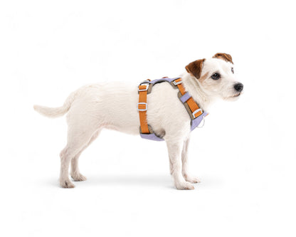 Woolly Wolf Alpha 360 Harness - Lavender