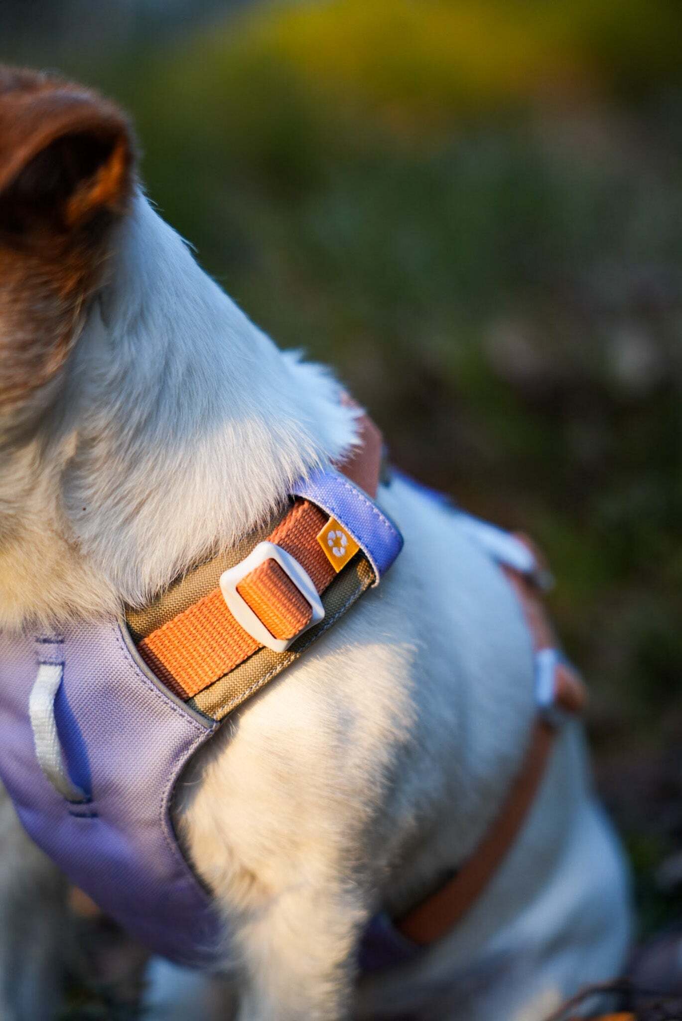 Woolly Wolf Alpha 360 Harness - Mauve