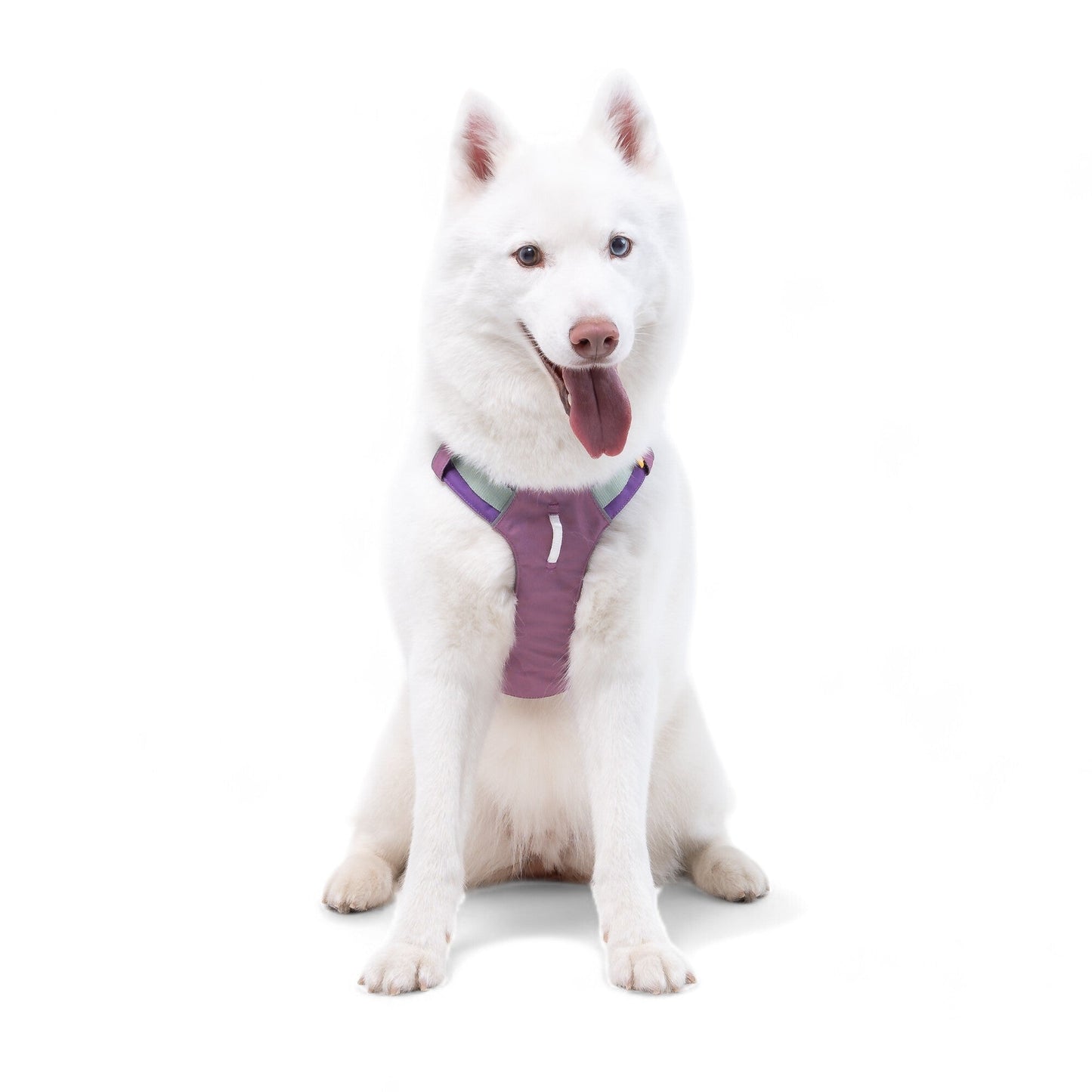 Woolly Wolf Alpha 360 Harness - Mauve