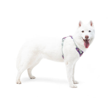 Woolly Wolf Alpha 360 Harness - Mauve