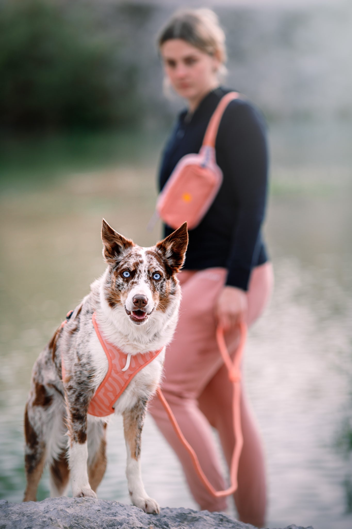 Wolly Wolf Alpha 360 Waist Bag - Salmon Pink