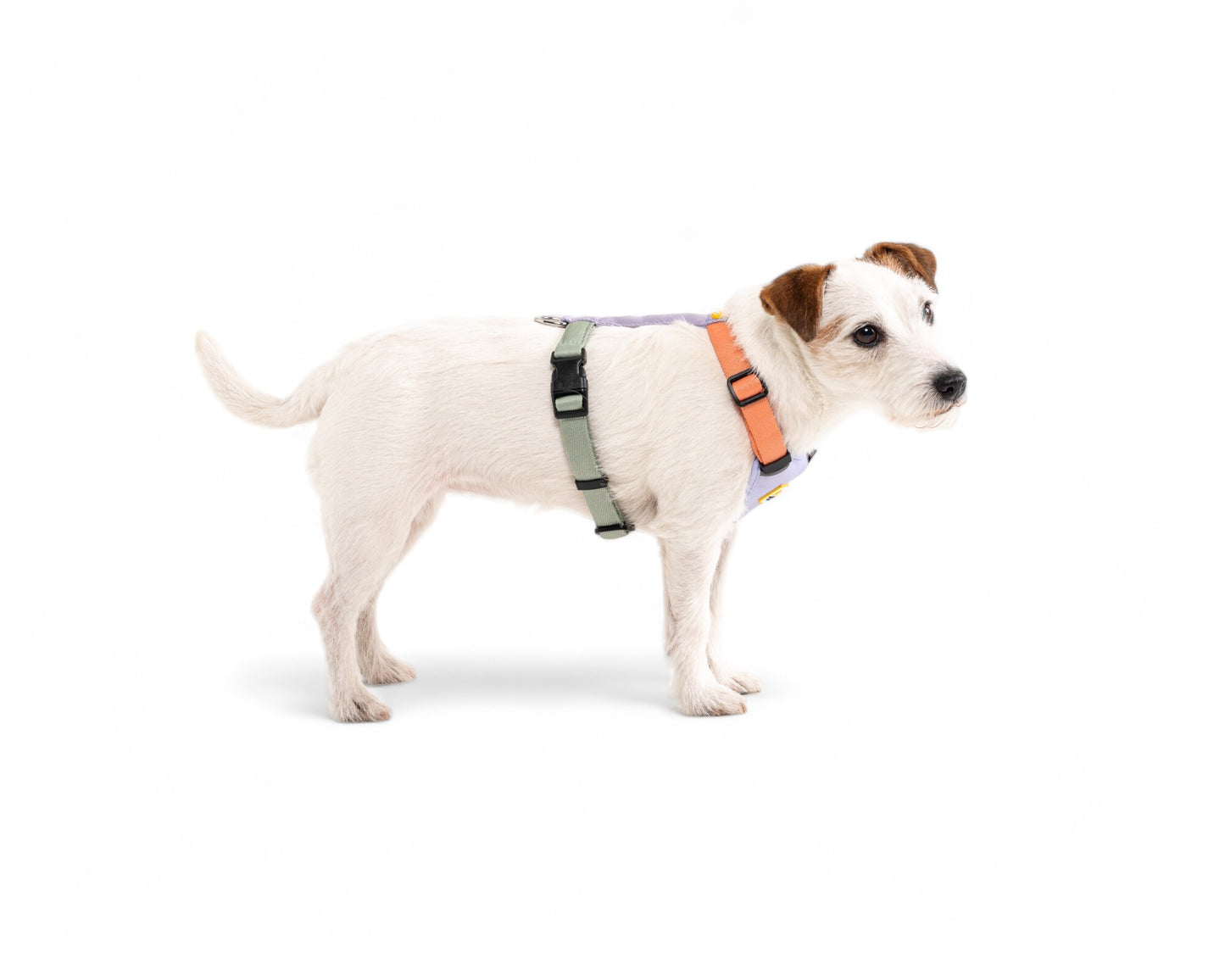 Woolly Wolf Color Block Harness - Pink