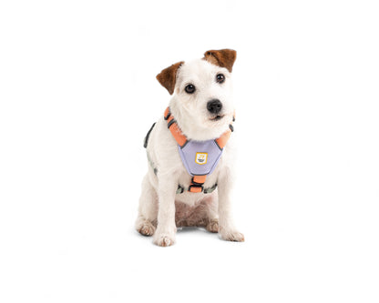 Woolly Wolf Color Block Harness - Pink