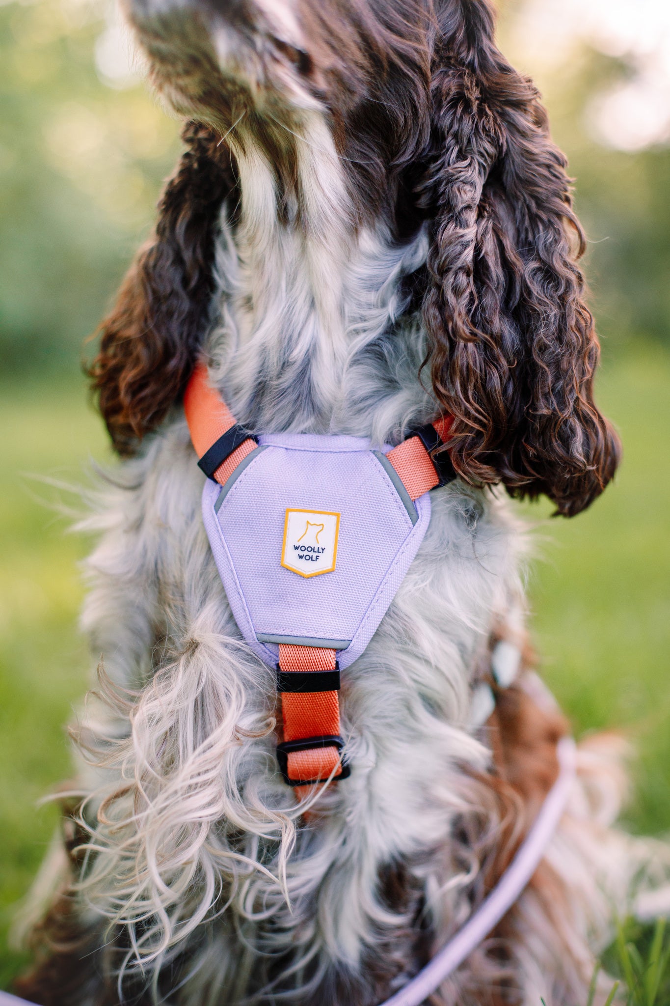 Woolly Wolf Color Block Harness - Pink