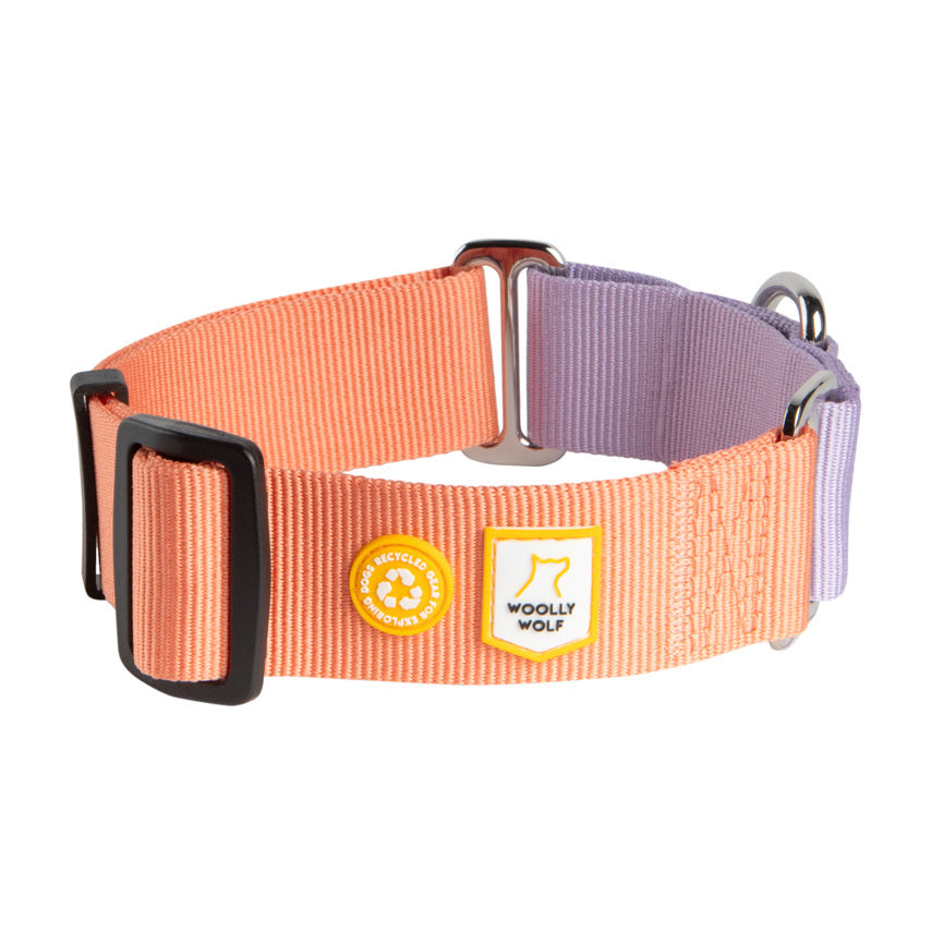 Wolly Wolf Color Block Martingale Collar - Salmon Pink