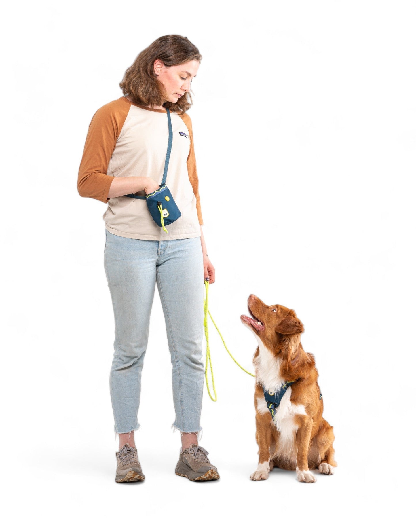 Woolly Wolf Softline Harness - Horizon