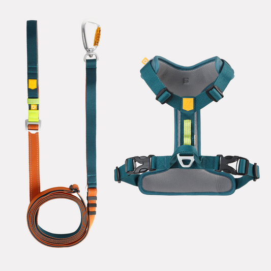 Urban Nomad set - Oprsnica i hands-free povodac