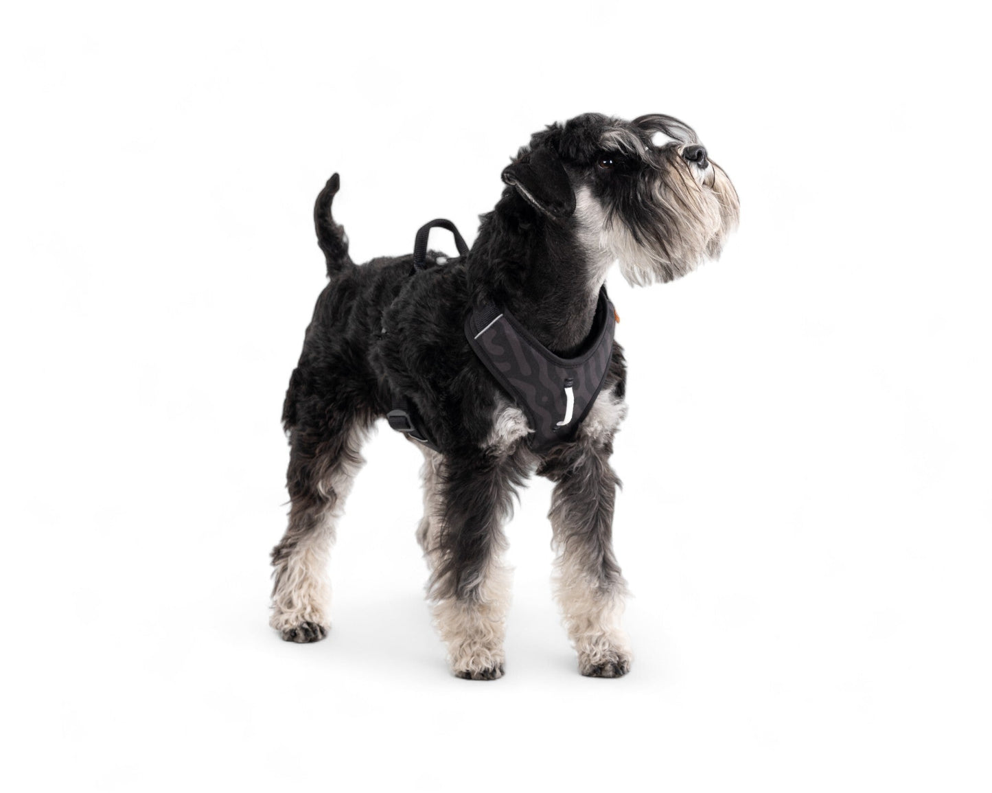 Woolly Wolf Roam Harness - Black Ripple