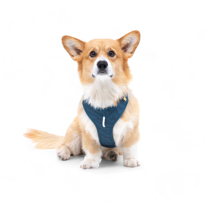 Woolly Wolf Roam Harness - Deep Teal