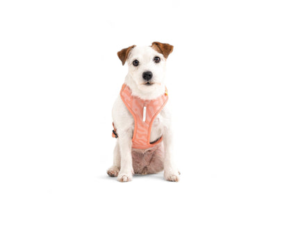 Woolly Wolf Roam Harness - Salmon Pink