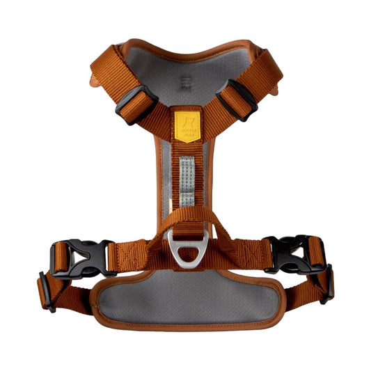 Woolly Wolf Roam Harness - Terracotta