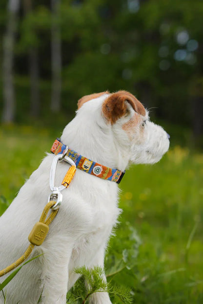 Woolly Wolf Rope Dünne elastische Leine - Pistazie