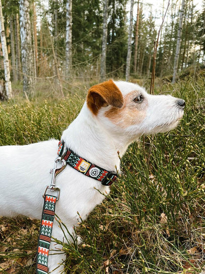 Woolly Wolf Softline Leash - Woodland